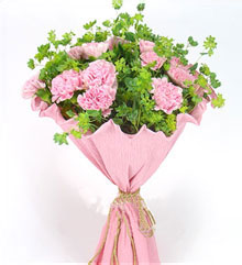 鲜花·粉康乃馨·香榭丽舍