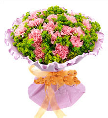 鲜花·粉康乃馨·江南