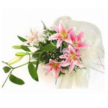 �ʻ����۰ٺϡ��������