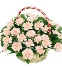 鲜花·花篮·难忘时光