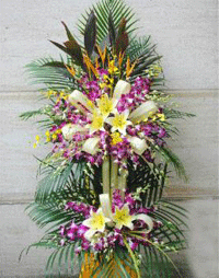 ʻҵвƽ
