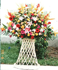 ʻҵ
