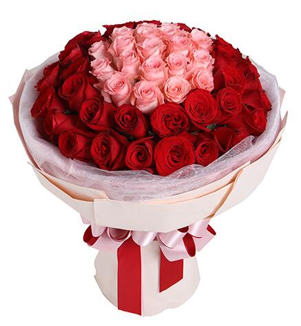 爱在心口难开--玫瑰50枝：戴安娜粉玫瑰19枝，红玫瑰31枝